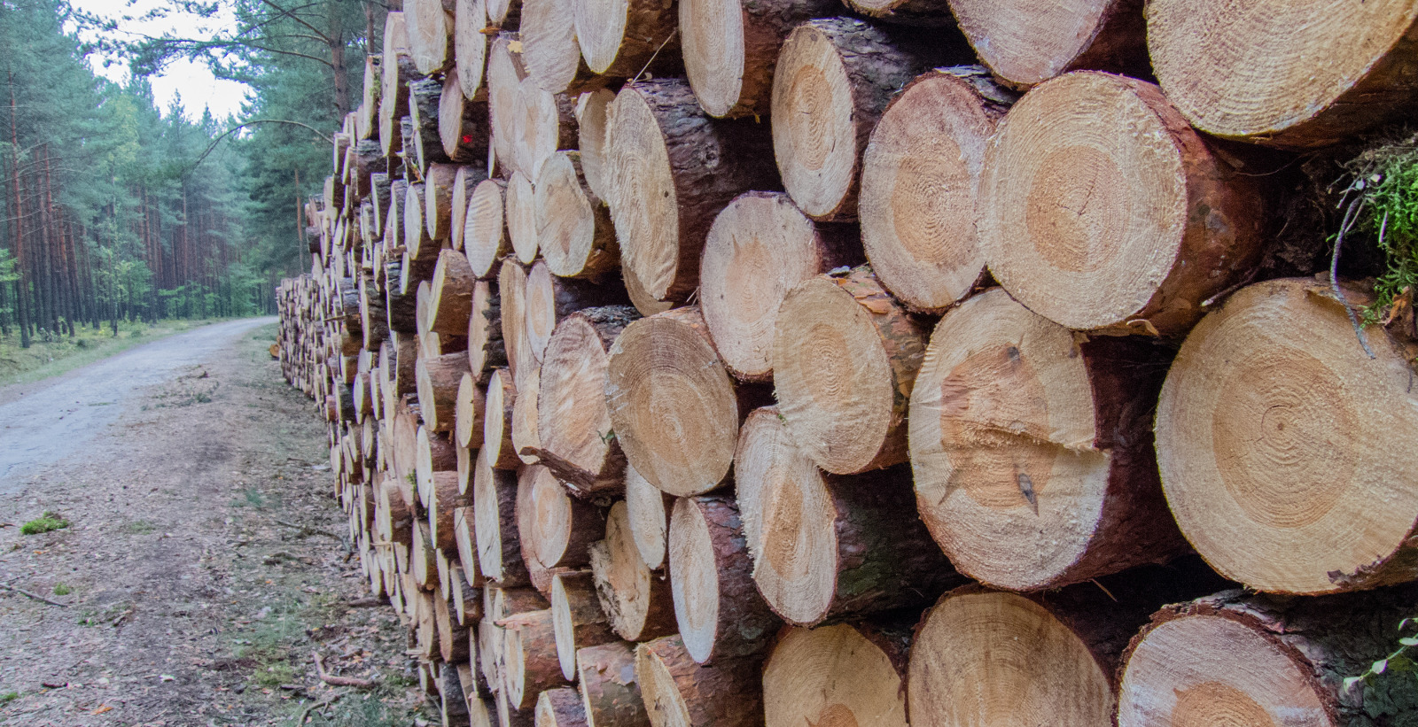 Как посчитать кубатуру дров в бревнах - 87 фото